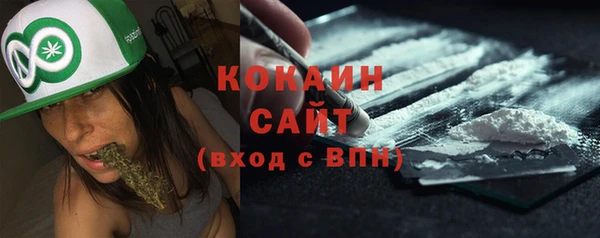 дмт Арсеньев