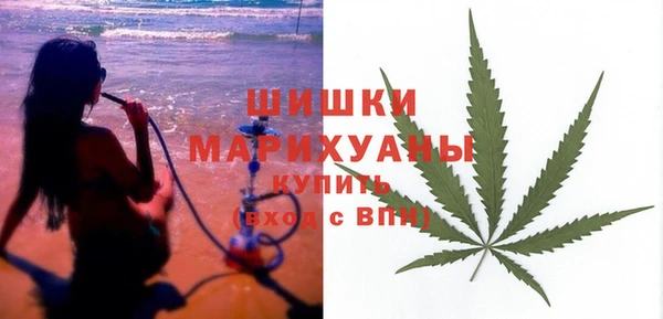дмт Арсеньев