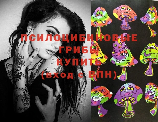 дмт Арсеньев