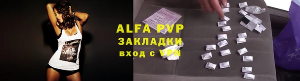 дмт Арсеньев