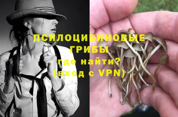 дмт Арсеньев