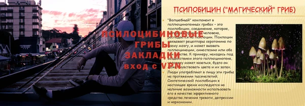 дмт Арсеньев